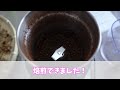 Clip 2