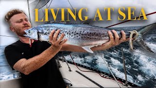 Download lagu Sailing & Fishing the WILD Ocean 🌊 SURVIVAL MODE CATCH & COOK | Over The Top S2CH.13 mp3