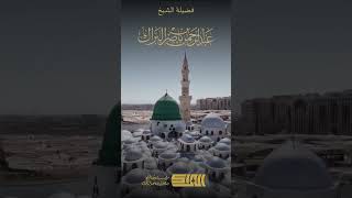 صورة لم يكن من هدي الرسول ﷺ الانتقام لنفسه  - الشيخ عبدالرحمن البراك  (1299)