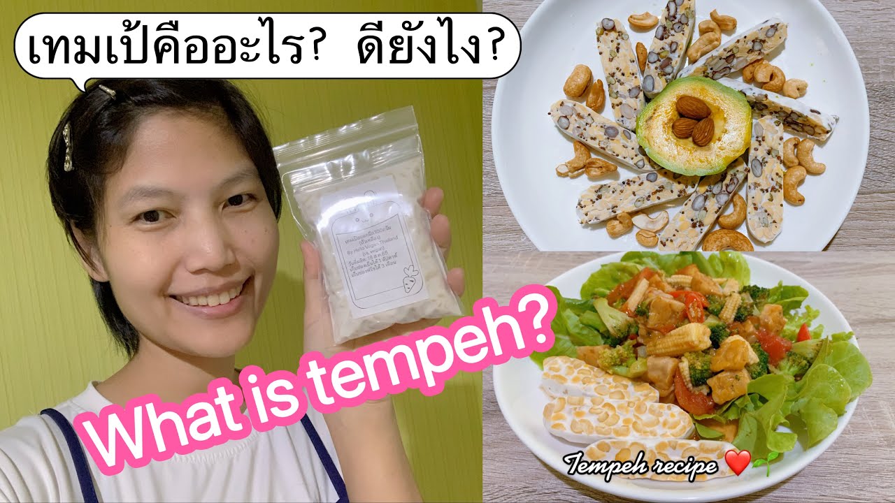 เทมเป้คืออะไร What is tempeh
