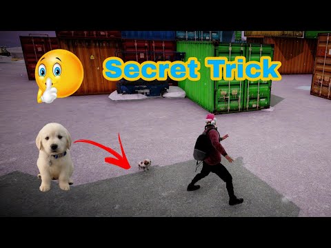 How to Find Bag and puppy in Rysen Dawn Christmas update  | Rysen Dawn game