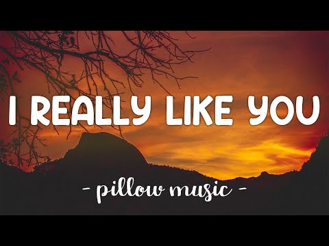 I Really Like You - Carly Rae Jepsen (Lyrics) 🎵
