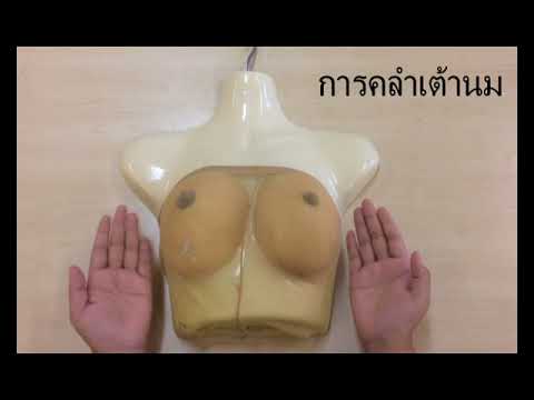 การดำเนินงาน 4 ขนาดเต้านม ไม่มีหน้าอกเล็ก