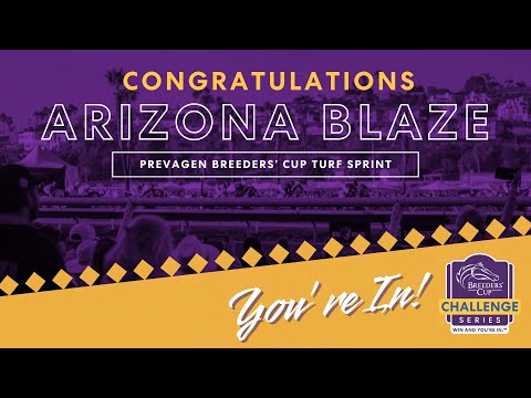 Arizona Blaze - Bar One Flying Five Stakes