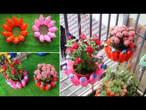 Let s grow bitter melon for your family this way it s very fruity and easy to make