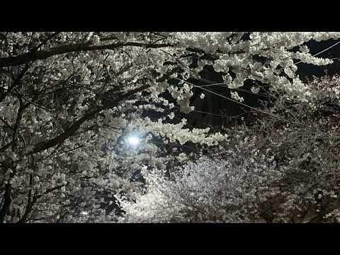 Playlistㅣ4월이 외로운 사람에게, 김사월 플레이리스트