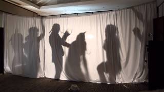 Dion farewell performance SEY