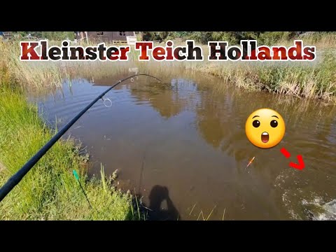 Angeln am kleinsten Aal Teich in Holland mit Riesen Überraschung #angeln #fishing #aaletagundnacht