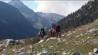 ГОРНАЯ ОХОТА НА ТУРА. ТИЗЕР