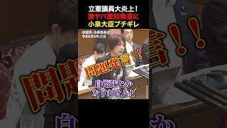 【小泉進次郎】立憲古賀議員が酷すぎる差別発言 #政治 #国会 #小泉進次郎 #古賀千景 #立憲民主党