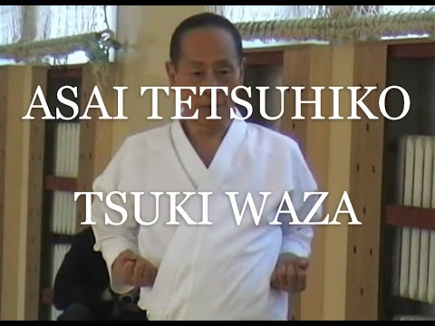 Asai Tetsuhiko 10 dan. Shotokan karate tsuki waza