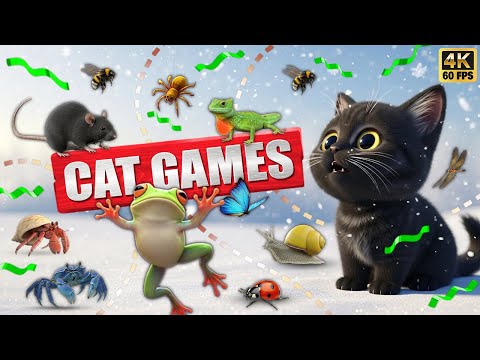 CAT GAMES 🐾3D Game for Cats | Video for Cats  – Ultimate CAT TV #116😻 4K60FPS