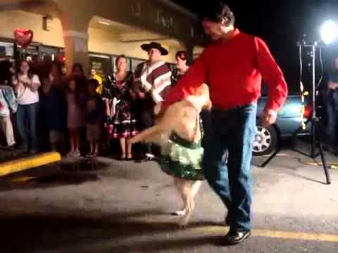 Hund tanzt mit Herrchen