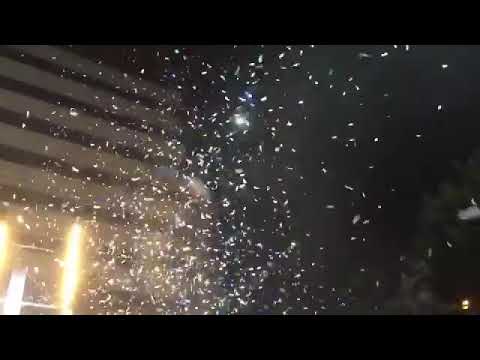 Super Dragões - Azul e Branco é o Coração