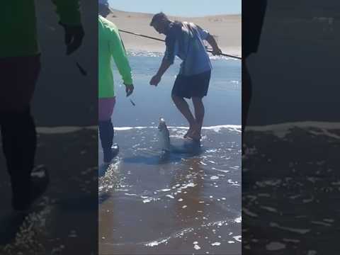 Kilómetro 8 pasando la desembocadura de monte hermoso #cañas #pesca #lineadepesca #montehermoso