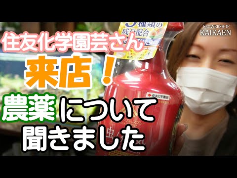 園芸 化学処理を拒否します