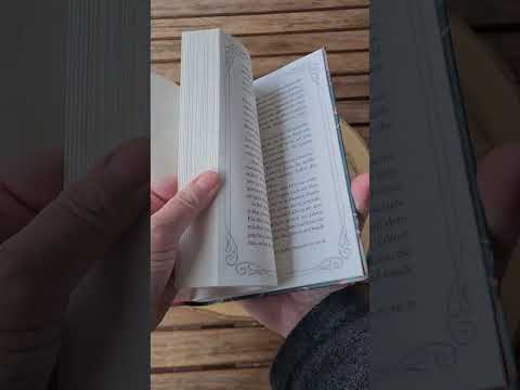 Buchrezension: „MITTERNACHTSKATZEN: MR MALLORYS MAGISCHES WEIHNACHTSGEHEIMNIS“ VON BARBARA LABAN