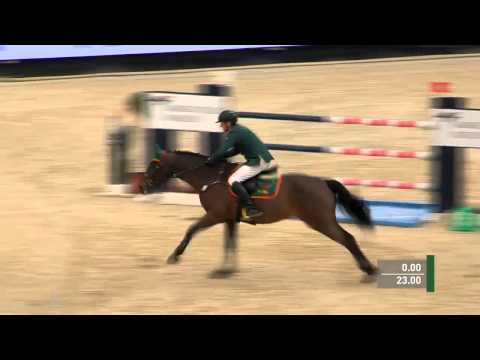 Partner Pferd Leipzig 2015 - Mario Walter mit Lancerto