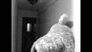 Chronicles of a Sad Totoro Pt. 3