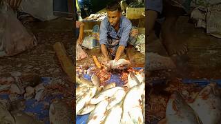 Download lagu Dorod ibrahim #raihanahmed #egzonibrahimi #chanel #winter #mountainview #fishcutting mp3 Download lagu Dorod ibrahim #raihanahmed #egzonibrahimi #chanel #winter #mountainview #fishcutting mp3