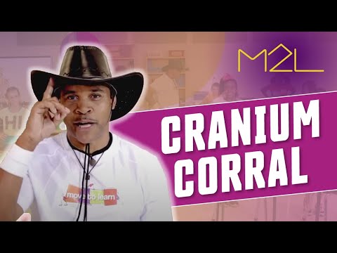 Cranium Corral (4-6) Brain