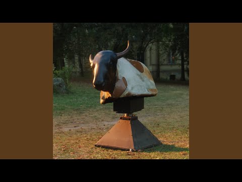Between The Lines - Donkey Kid