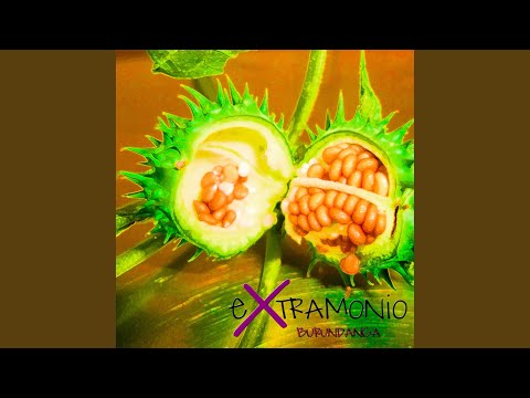 download lagu mp3 mp4 Reperkusion, download mp3 Reperkusion free download, download mp3 Reperkusion
