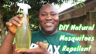 DIY Mosquitoes Repellent | Natural Way To Get Rid Of Mosquitoes With Just One Ingredient #repellent