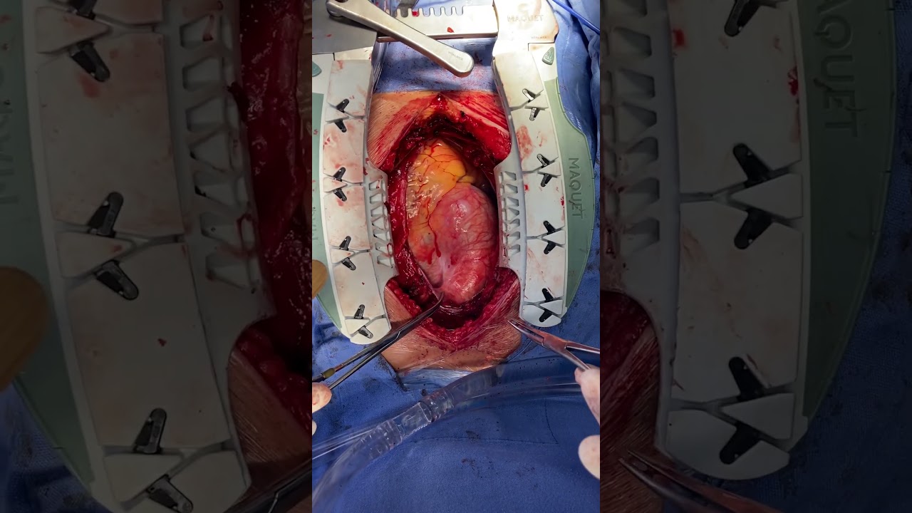 Victor Manuel Carmona Delgado-38