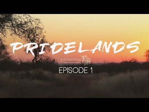 Pridelands | Episode 1