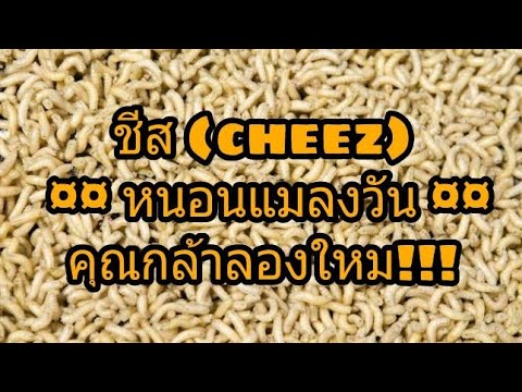 ล้างร่างกายสำหรับโรคสะเก็ดเงิน ทำไมกลากอยู่ในมือของ