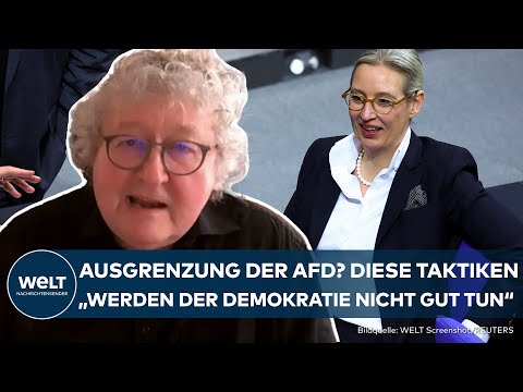 BRANDMAUER ZUR AFD: Ausgrenzung "demokratieschädigend"? Experte warnt vor Erstarken der Rechten