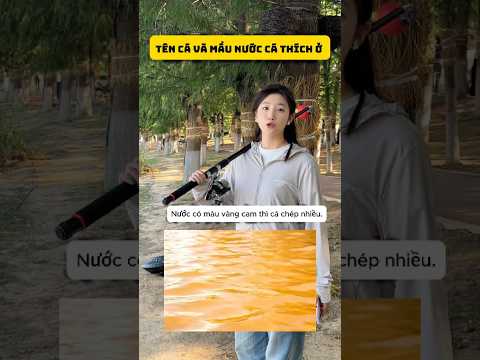 theo các bạn có đúng không #fishing #cauca #cuoccauca