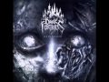 Dark Fortress - Cohorror