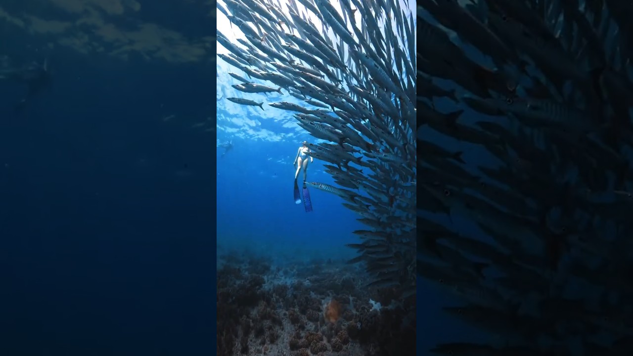 YouTube Short thumbnail