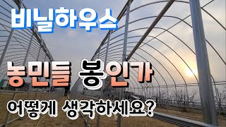 비닐하우스 !!  농민은 봉인가? 언제 돈벌지 ?