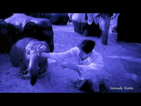 Дальний свет  -  Distant Light