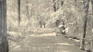 Flesh and Blood video