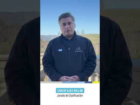 Carlos Ojea Rullán - Jurado de Clasificación del Congreso Mundial