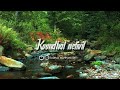 Netru Mun Iravil Alaipayuthey Whatsapp Status Alaipayuthey Cover Song Status Kadhal Mannan Edit