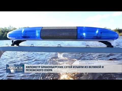 Новости Псков 17.05.2018 # Километр браконьерских сетей изъяли из Великой и Псковского озера 