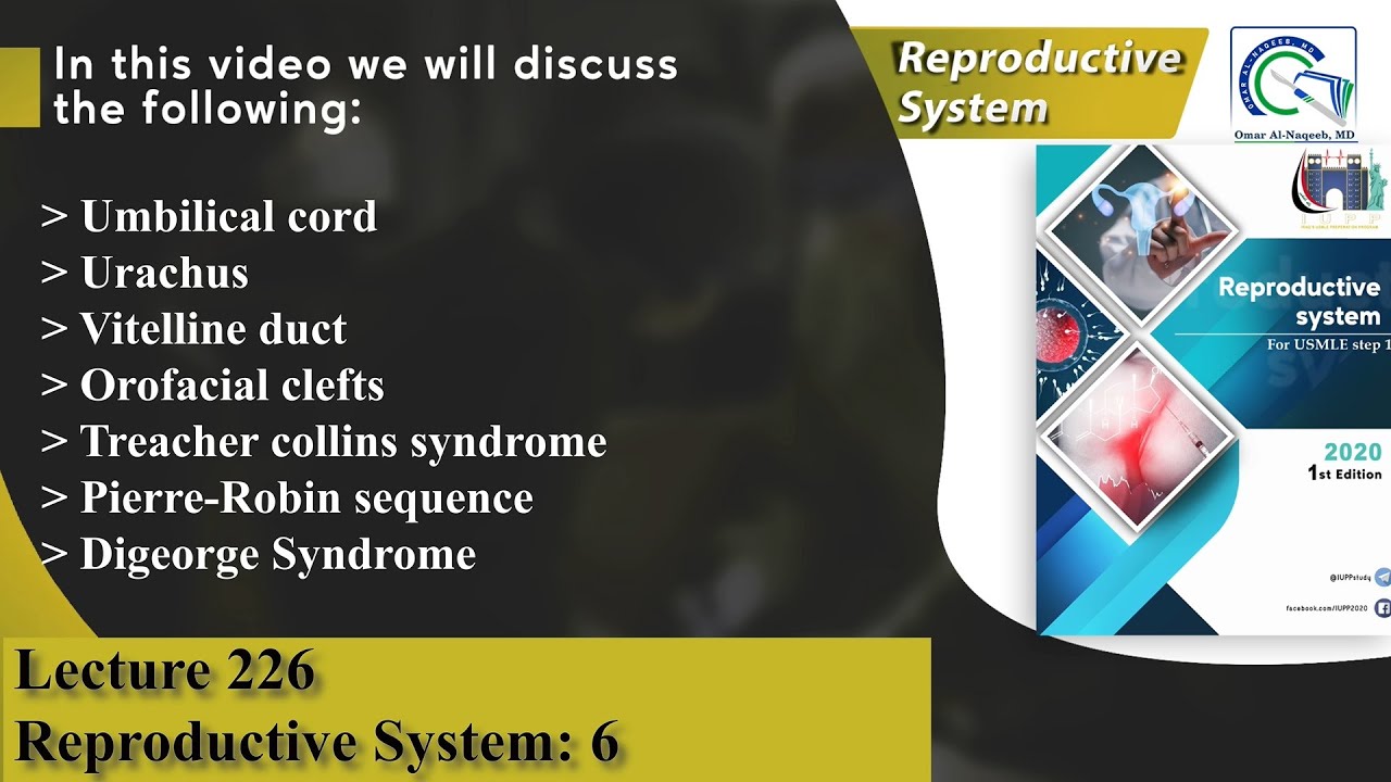 Umbilical cord | Vitelline duct | Orofacial clefts | Treacher collins syndrome | Digeorge Syndrome