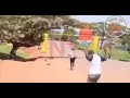 Katumba Oyee