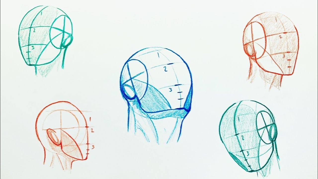 How to Easily Draw Heads | Understanding the Loomis Method