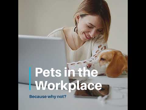 , title : 'Pets in the workplace'