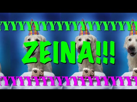 HAPPY BIRTHDAY ZEINA! - EPIC Happy Birthday Song