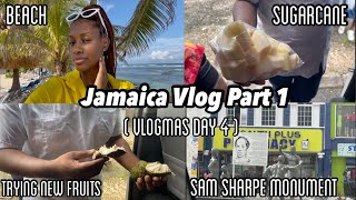 JAMAICA VLOG 2021 PART 1 | City Tour | Trying Different Fruits & More | Vlogmas Day 4