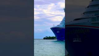 Carnival Celebration 🛳️ #share #like #subscribe #comment #cruise #vacation #shortvideo #shortsvideo