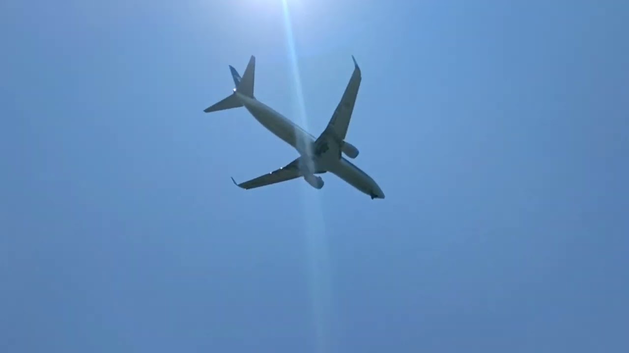 真上を飛ぶ飛行機 - 城南島海浜公園