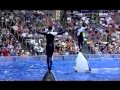 Why Captivity For Whales And Dolphins Is Wrong